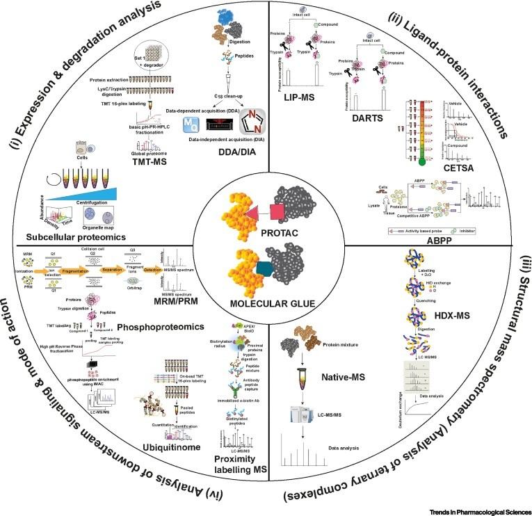 Proteomics technologies for TPD.
