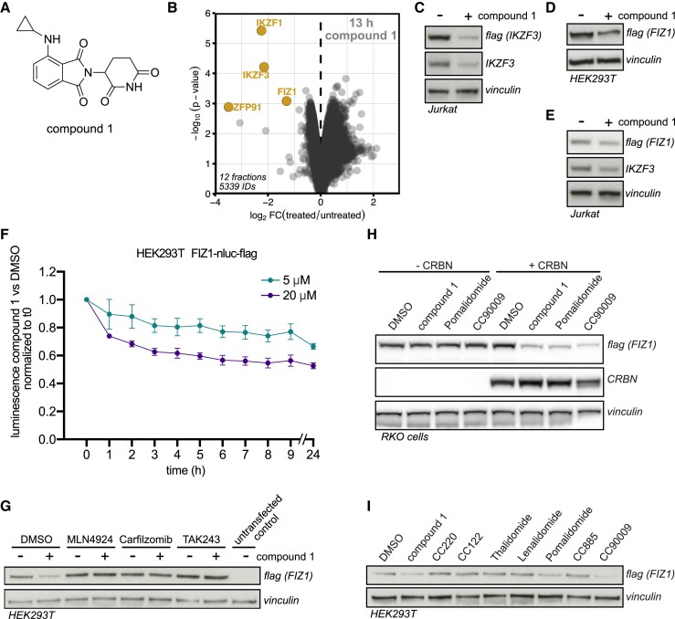 Results of benchmarking of degradome proteomics.