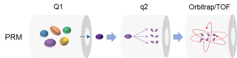 Fig.2 Schematic of PRM