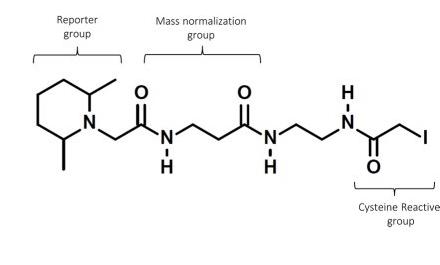 Fig. 1. Structure of TMT tag.