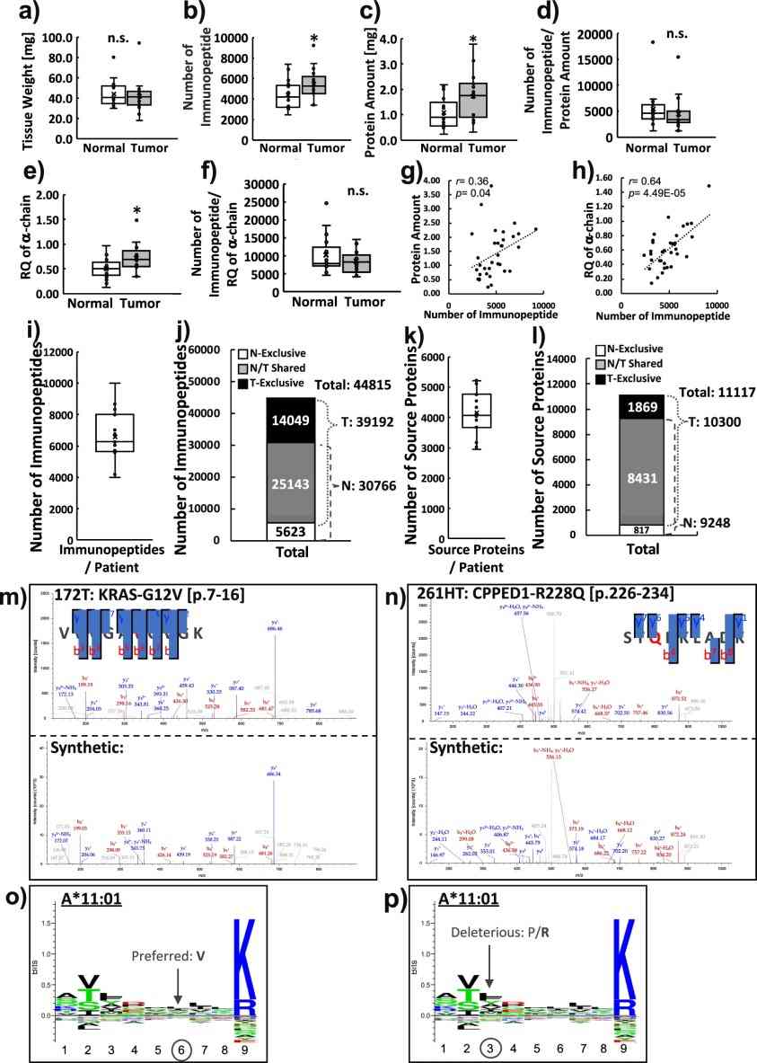 Immunopeptidomics analyses from patients.