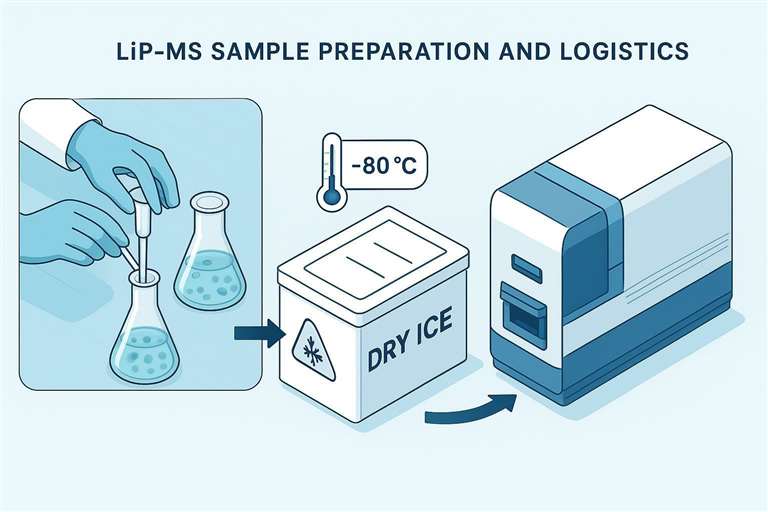 Optimized LiP‑MS sample preparation and logistics workflow for drug discovery