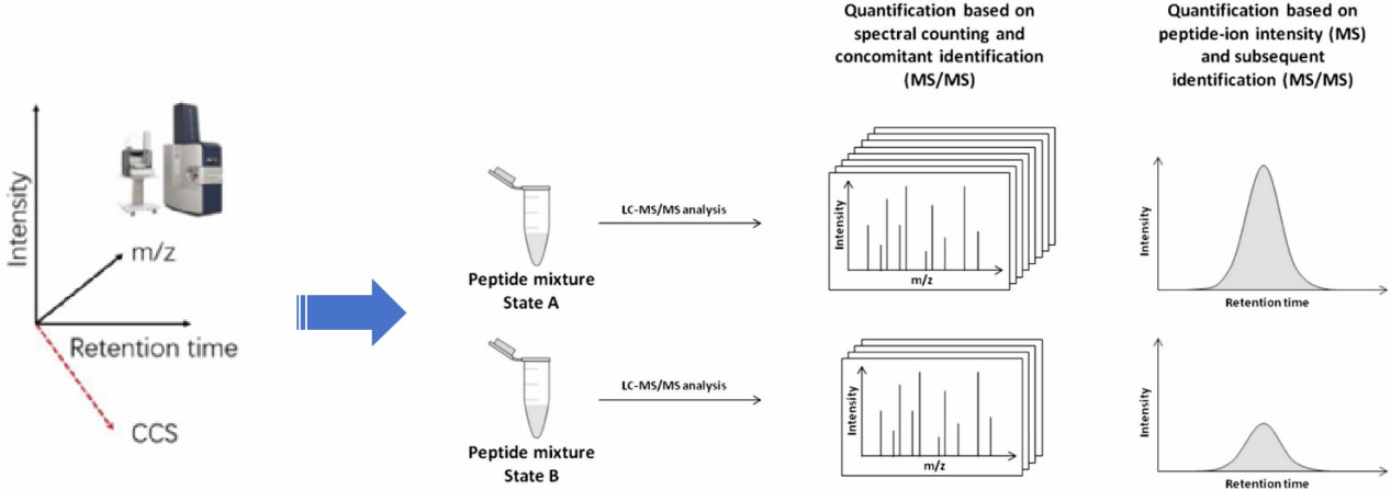 Schematic of 4D label-free quantitative proteomics.