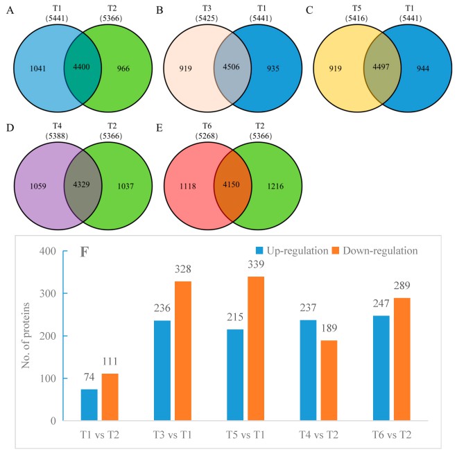 Proteins were identified using label-free proteomics.