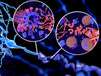 Phosphorylation Analysis Service