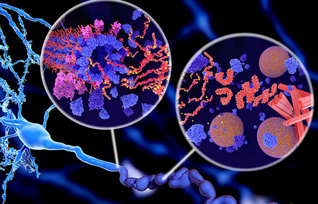 Proteomics Analysis of Post-Translational Modifications