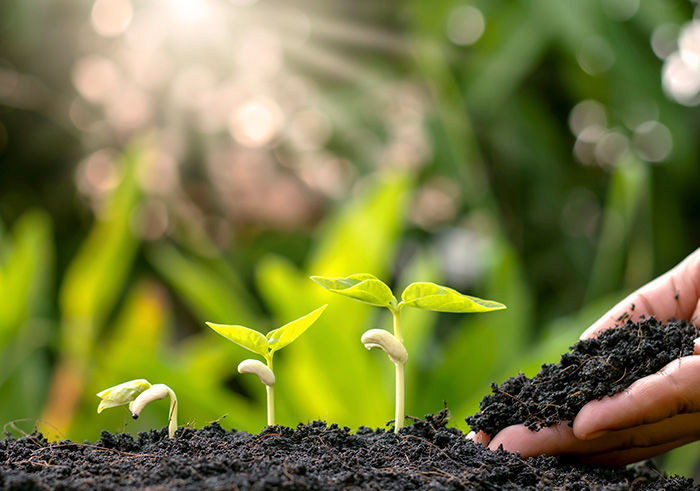 Plant Research