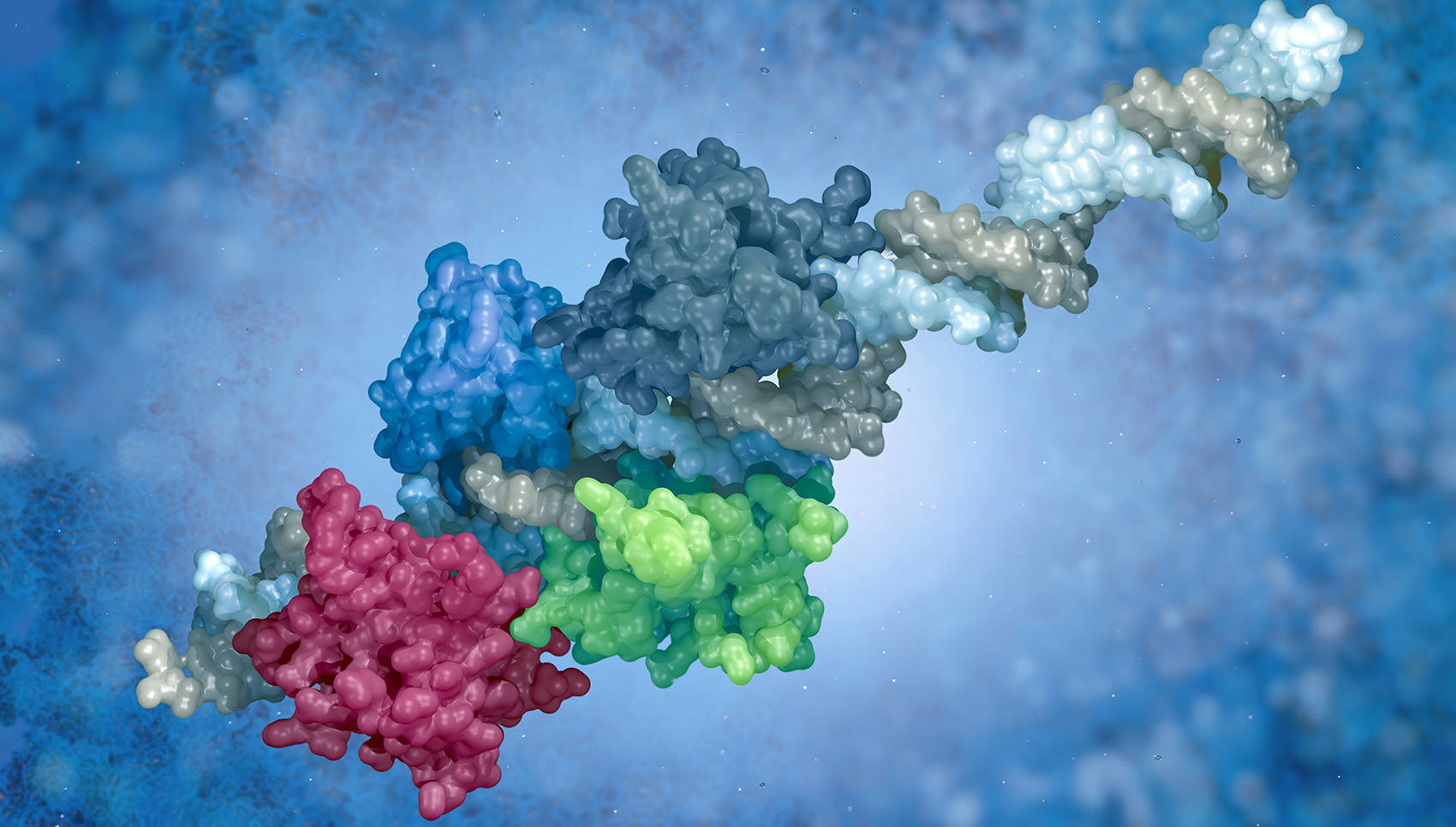 Protein Post-Translational Modifications in Biological Research