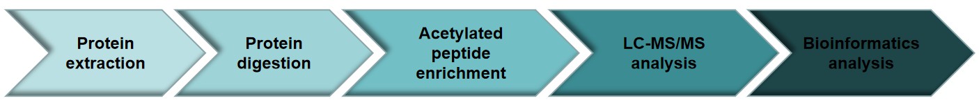 Workflow of acetylomics analysis service