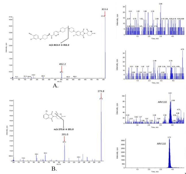 MRM Targeted Quantitative Proteomics Technical Workflow