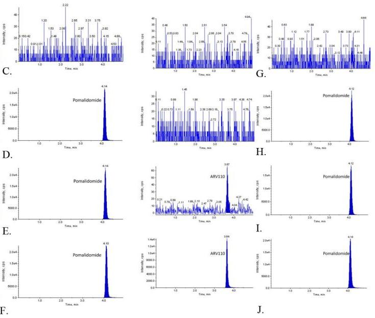 MRM Targeted Quantitative Proteomics Technical Workflow