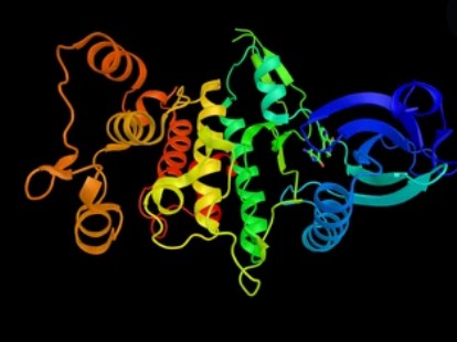 Phosphorylation Site Identification Service