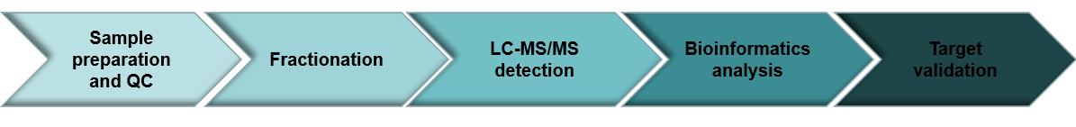 Workflow of lysine lactylation analysis service