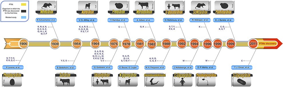 Fig.1 Schematic PTM discovery timeline for 10 major PTM.