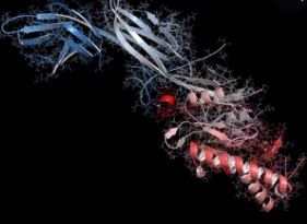 Protein Post-Translational Modifications in Biological Research