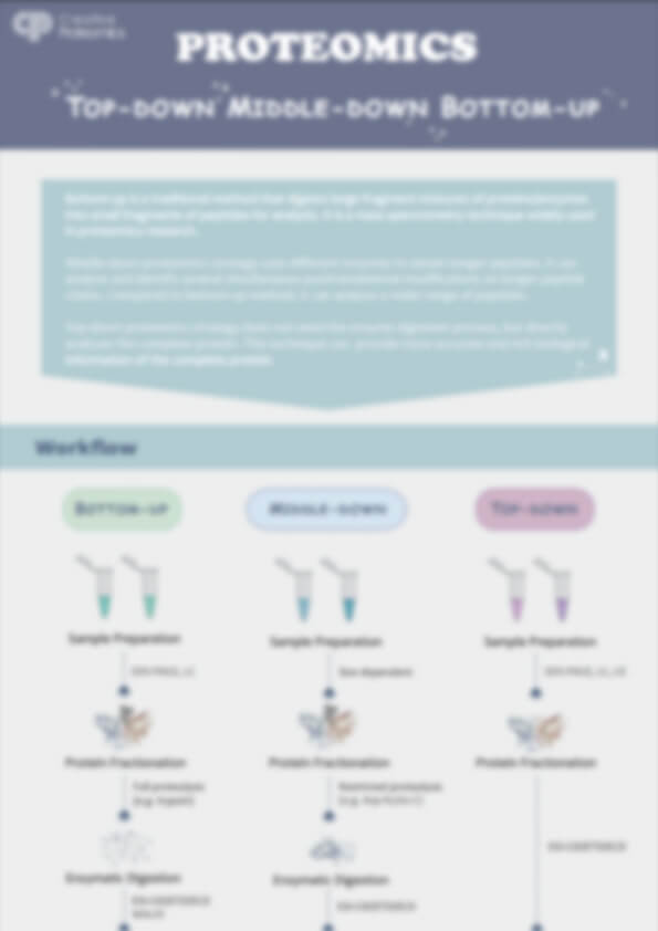 Top-Down, Middle-Down and Bottom-Up—Choose the Suitable Proteomics Strategy for Your Project