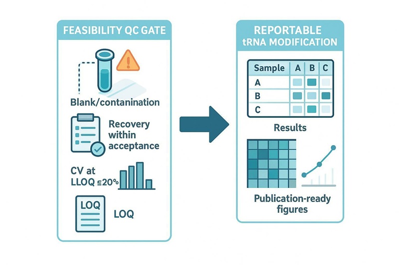 Feasibility QC gate flowing to deliverables for low-input tRNA LC-MS absolute quantification.