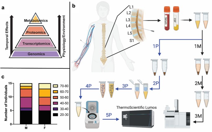 Figure 2. Temporal sensitivity of the metabolome and proteome to environmental factors like disease and injury.