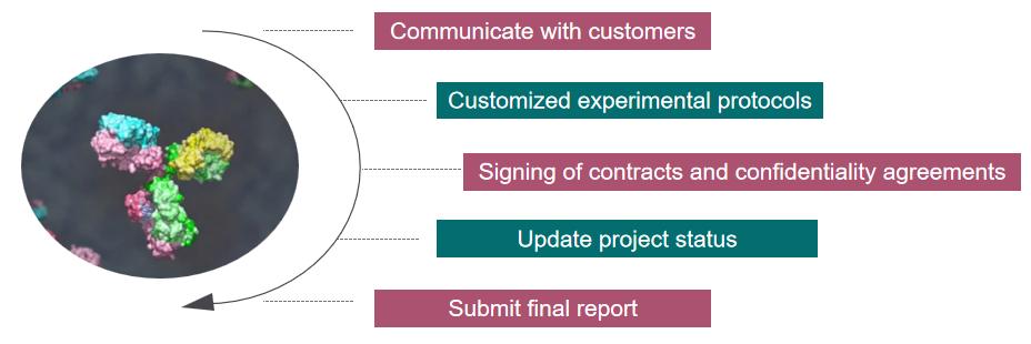 Fig. 1. Our service workflow - Creative Proteomics