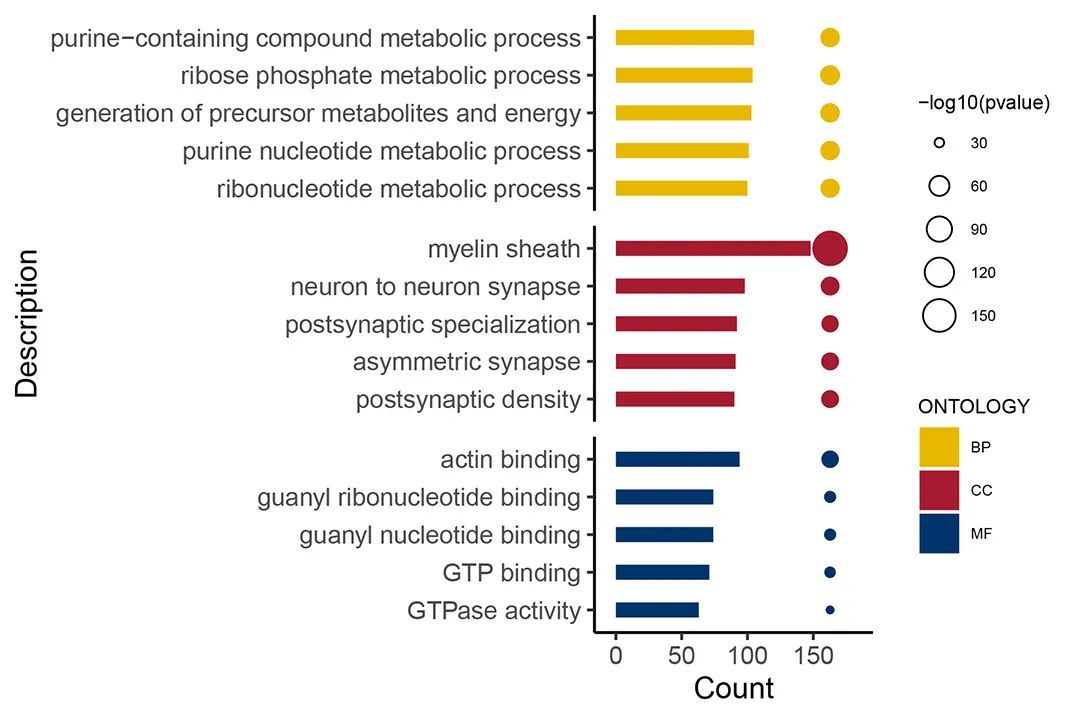 Global PTMs Profiling Service