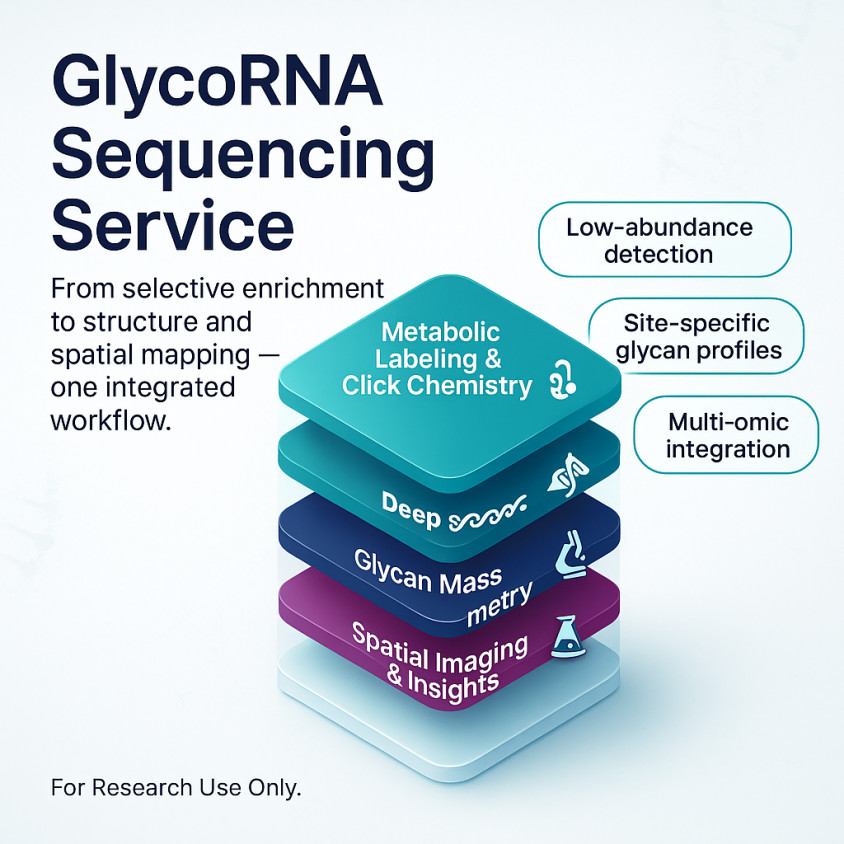 Modern infographic illustrating the GlycoRNA Sequencing Service workflow, from labeling and sequencing to mass spectrometry and imaging, highlighting precise glycan profiling and multi-omic integration.