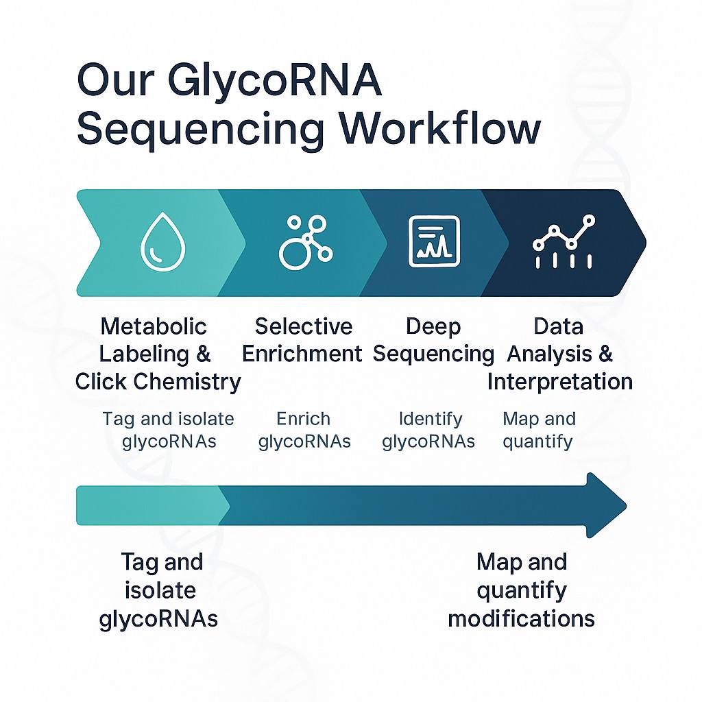 Workflow infographic showing five steps of GlycoRNA Sequencing from labeling to data analysis.