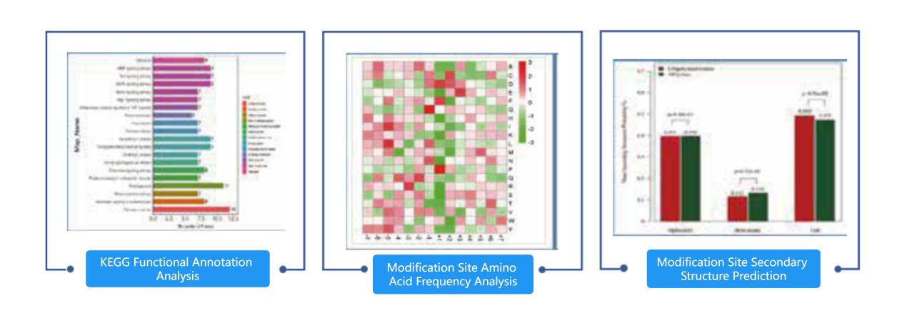 Mass Spectrometry Analysis Of Protein Modification Sites