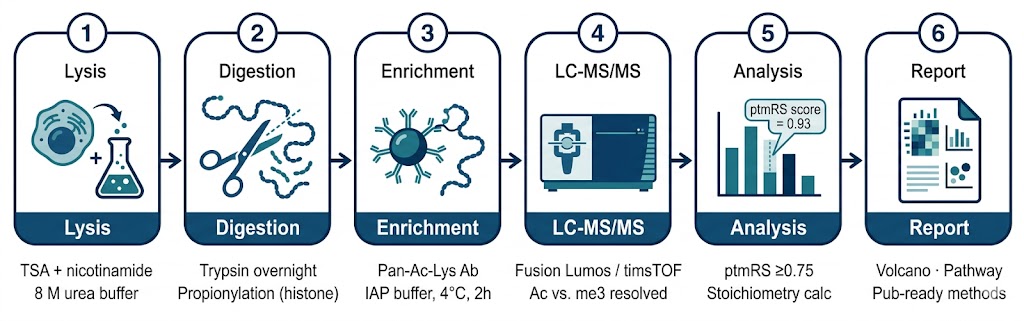 Acetylomics technology platform — pan-acetyllysine antibody enrichment, histone propionylation derivatization, Orbitrap Fusion Lumos LC-MS/MS, ptmRS site localization, DIA-NN SILAC TMT quantification