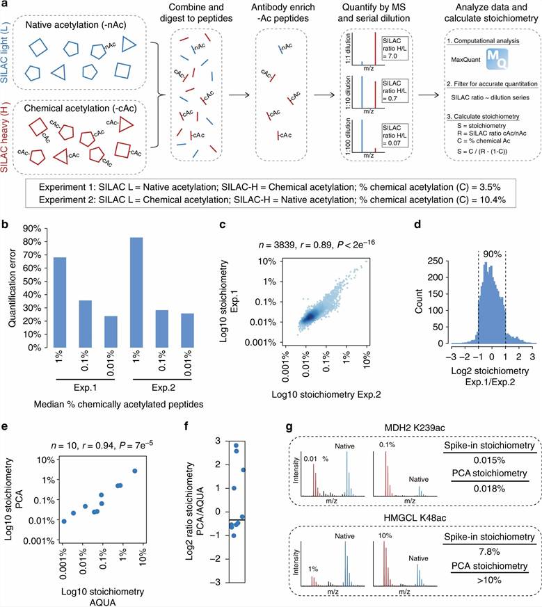 Case study acetylation stoichiometry Hansen 2019 Nature Communications — HeLa cell acetylome stoichiometry distribution, high-stoichiometry nuclear sites, CBP p300 substrate enrichment, HDAC inhibitor response