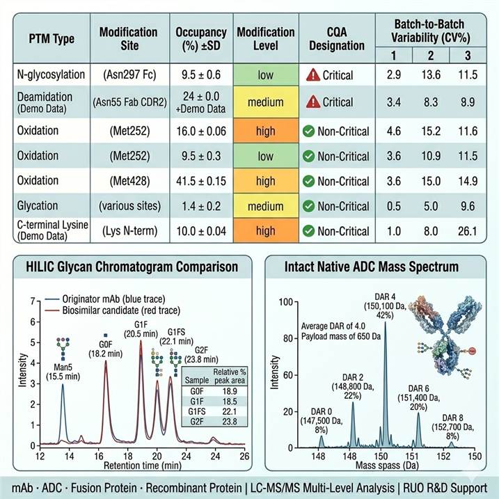 Representative biopharma PTM characterization data outputs in a three-panel layout: left panel shows a comprehensive PTM attribute summary table with PTM type, site location, occupancy (%), modification level, and CQA classification for monoclonal antibody forced degradation study; center panel shows overlaid HILIC-UPLC-FLR glycan chromatograms comparing originator and biosimilar mAb glycosylation profiles with major glycan species annotated; right panel shows an intact mass deconvoluted spectrum for an ADC with DAR 0/2/4/6/8 distribution peaks, DAR values, and payload distribution percentages.