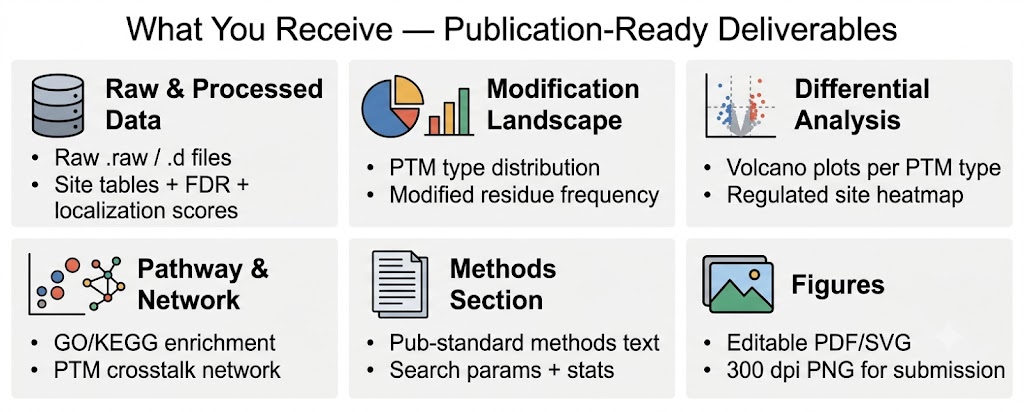 Global PTM profiling publication-ready deliverables — modification landscape figures, differential analysis results, pathway enrichment, crosstalk networks, and methods text for manuscript submission