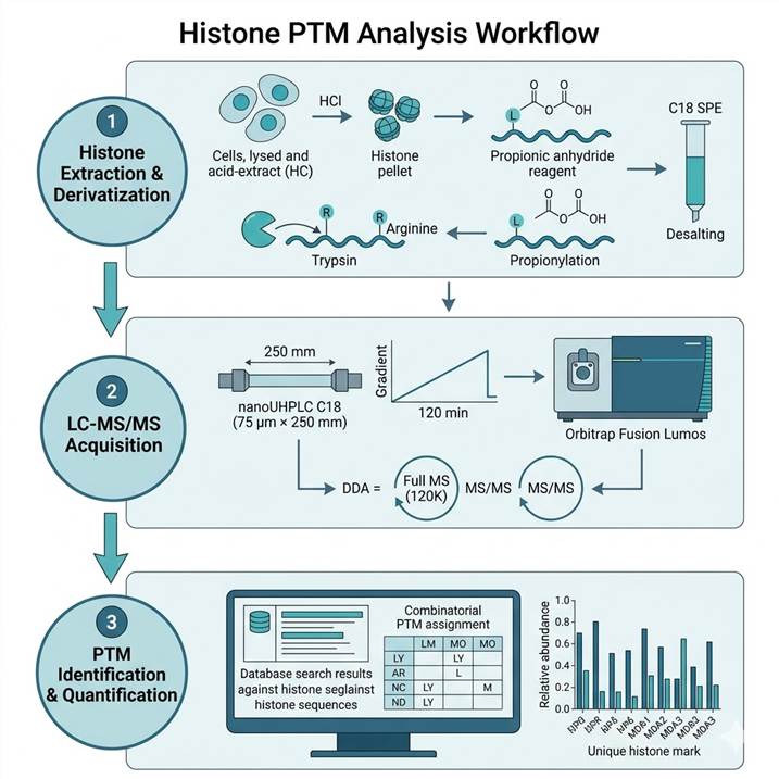 Vertical 3-step workflow diagram showing histone acid extraction and propionylation derivatization, LC-MS/MS acquisition on Orbitrap, and PTM identification with combinatorial mark quantification.