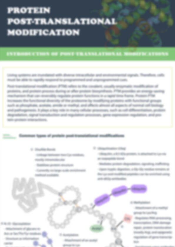 Protein Post-Translational Modification Analysis Solution