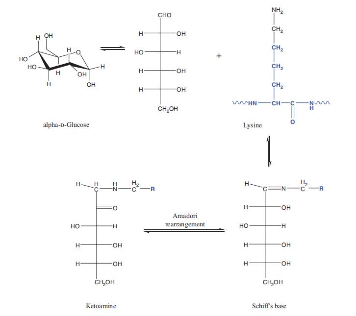 Figure 1 Mechanism of protein glycation.