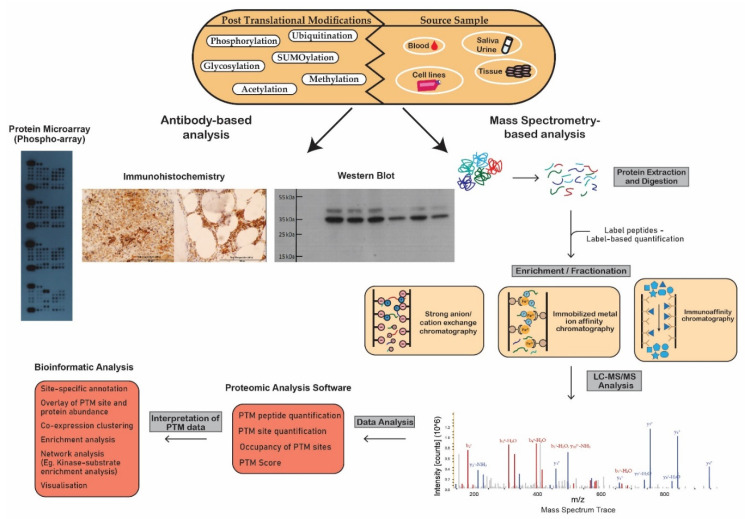 Figure 1. Illustration of techniques for analyzing post-translational modifications, including workflows and methodologies.