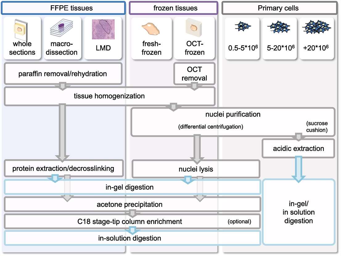 Protocols for the isolation and enrichment of histones.