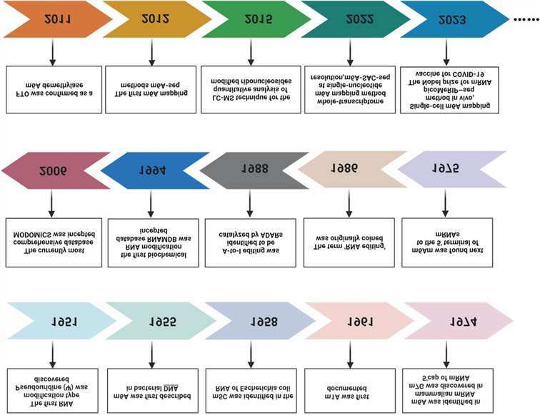 RNA Modifications and Cellular Metabolism