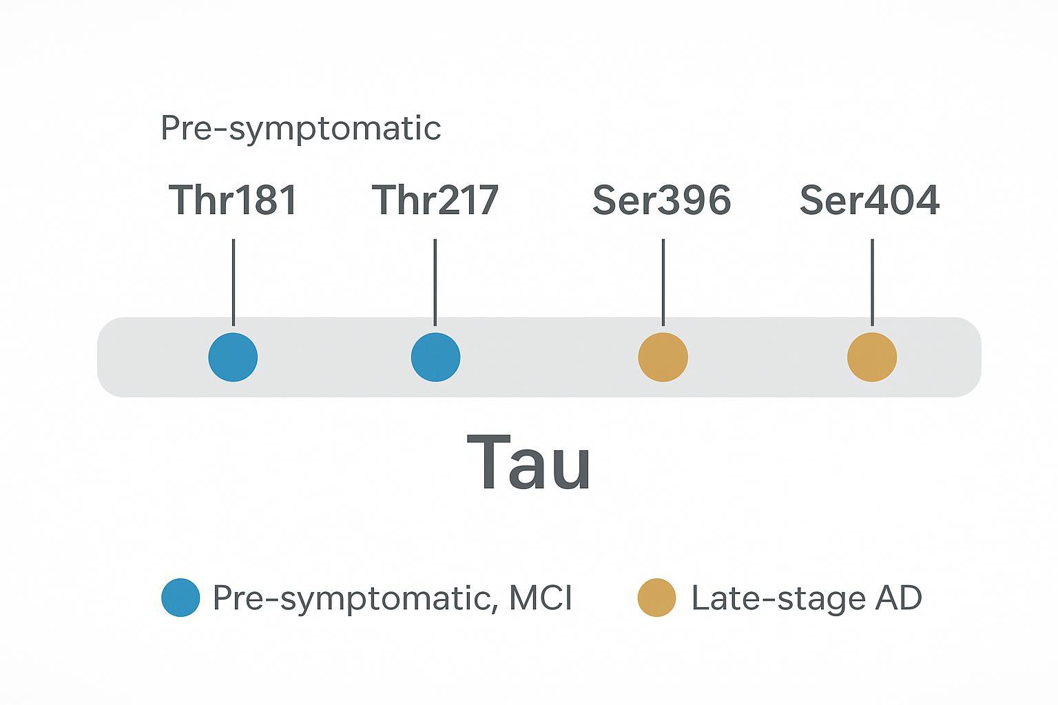 Infographic mapping tau phosphorylation sites Thr181, Thr217, Ser396, Ser404 to AD progression stages.