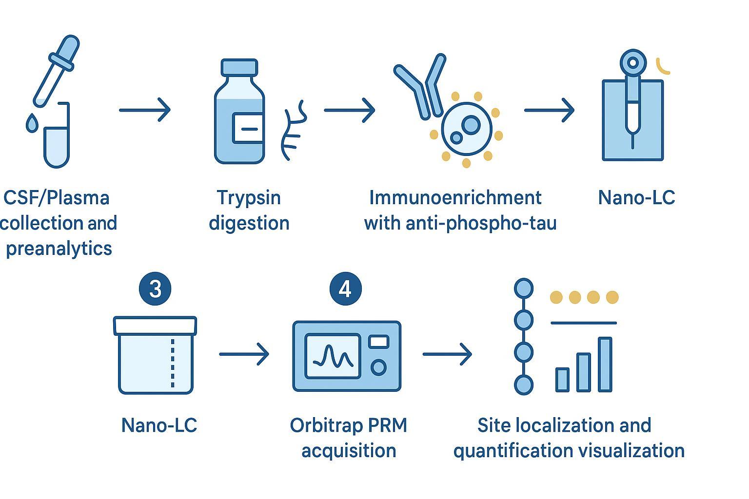 Professional LC-MS/MS workflow for site-specific tau phosphorylation analysis using immunoenrichment and Orbitrap PRM.