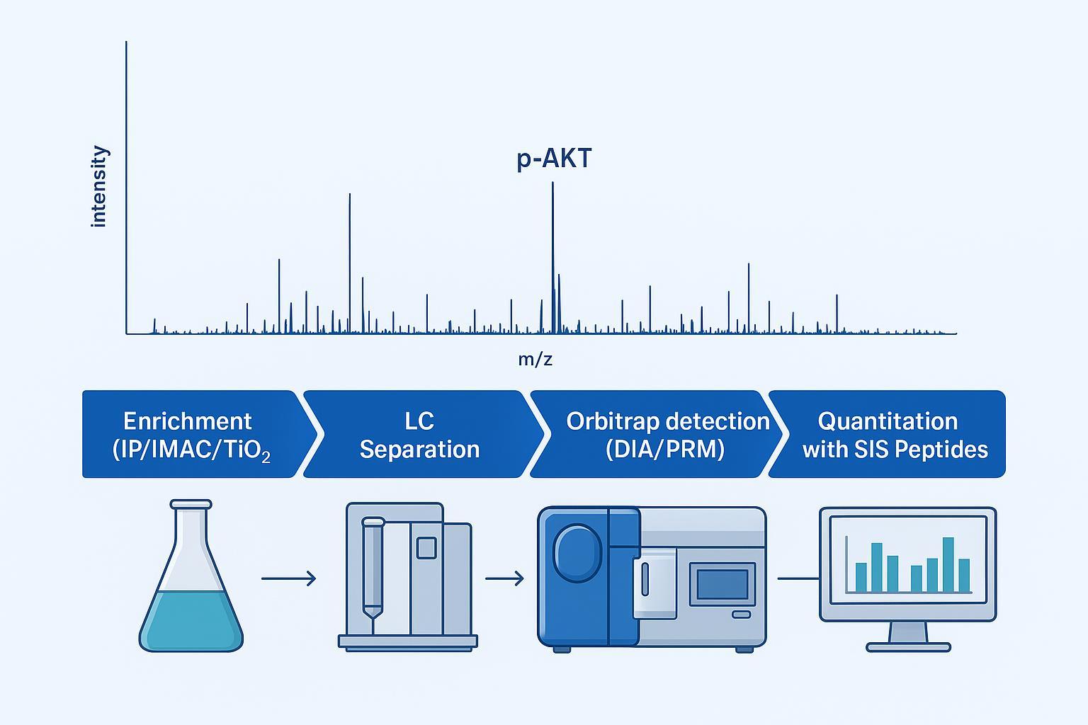 Orbitrap mass spectrometry workflow for high-sensitivity akt protein phosphorylation analysis.