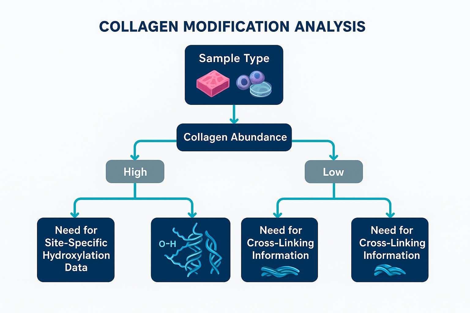 decision workflow for collagen hydroxylation and cross linking analysis across sample types