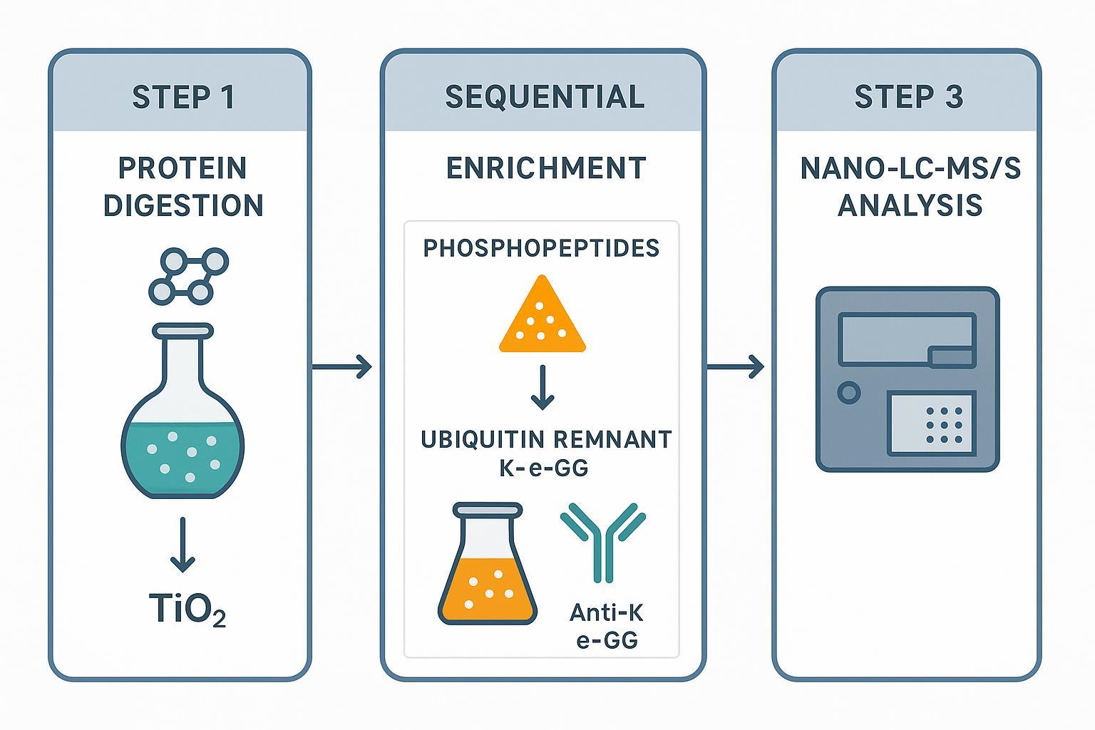 Integrated workflow for co-analyzing protein phosphorylation and ubiquitination units using mass spectrometry