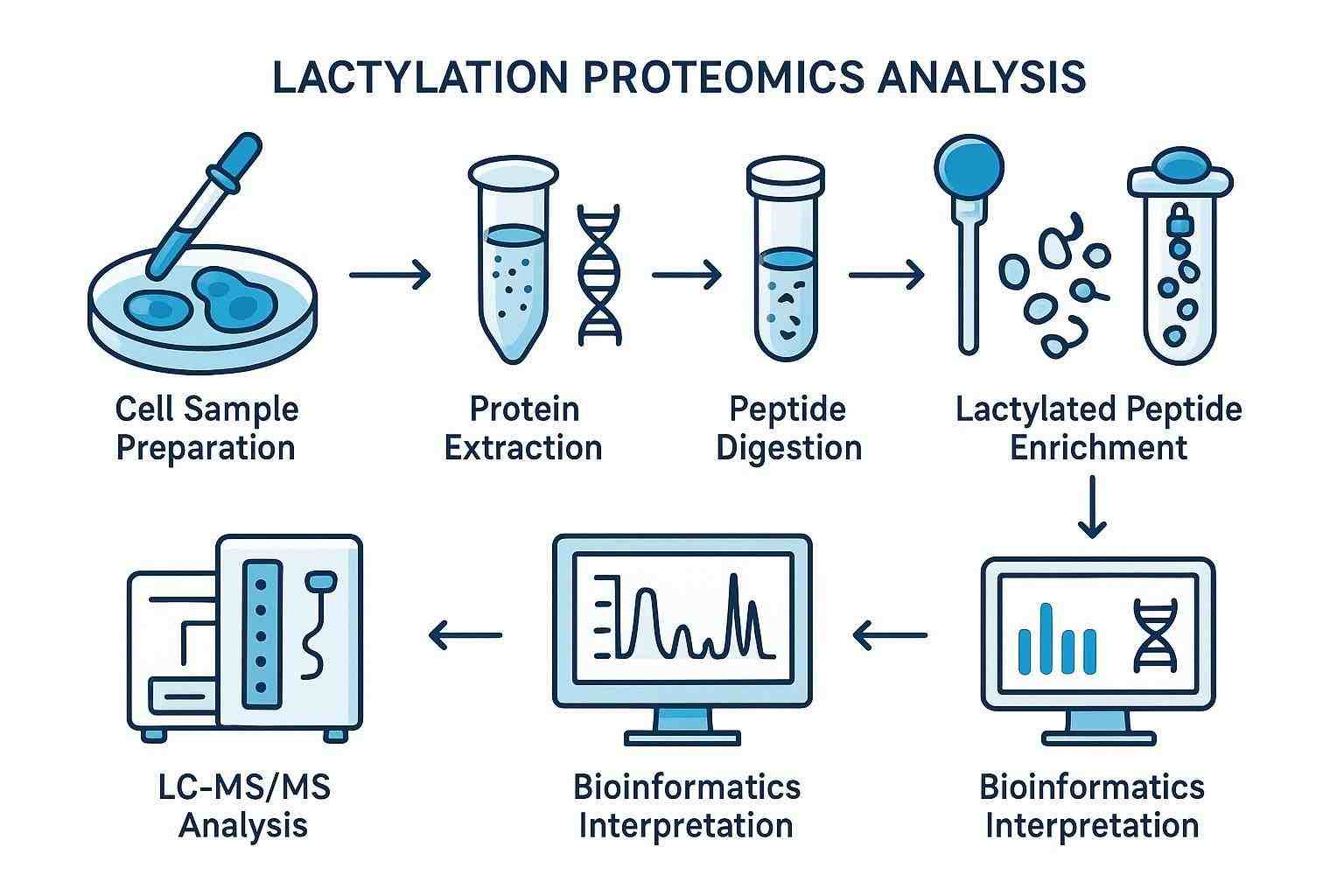 Lactylation proteomics workflow including enrichment and mass spectrometry
