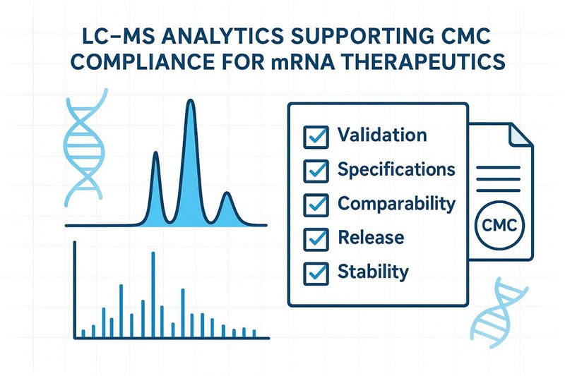 Ensuring CMC Compliance in mRNA Therapeutics Using LC-MS Analysis