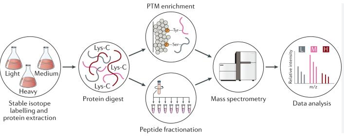 Protein post-translational modifications workflow