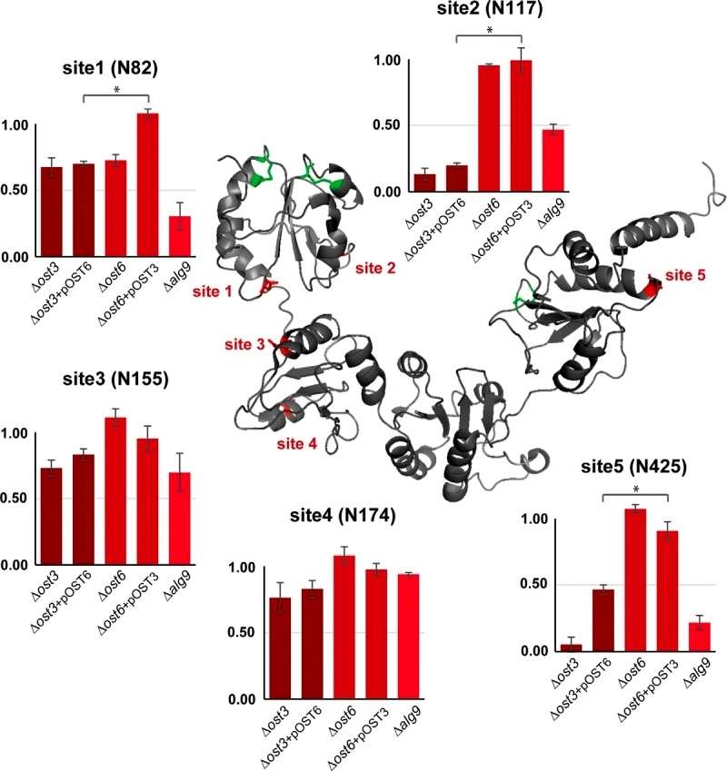 Figure 4