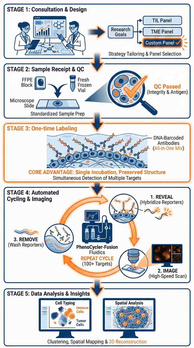 Deep-navy workflow for PCF/CODEX spatial proteomics showing cyclic imaging, single-cell matrix, analytics.