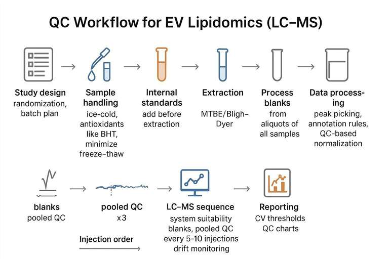 Infographic showing an LC–MS QC workflow for EV lipidomics: internal standards, pooled QC, blanks, injection batching, and drift monitoring.