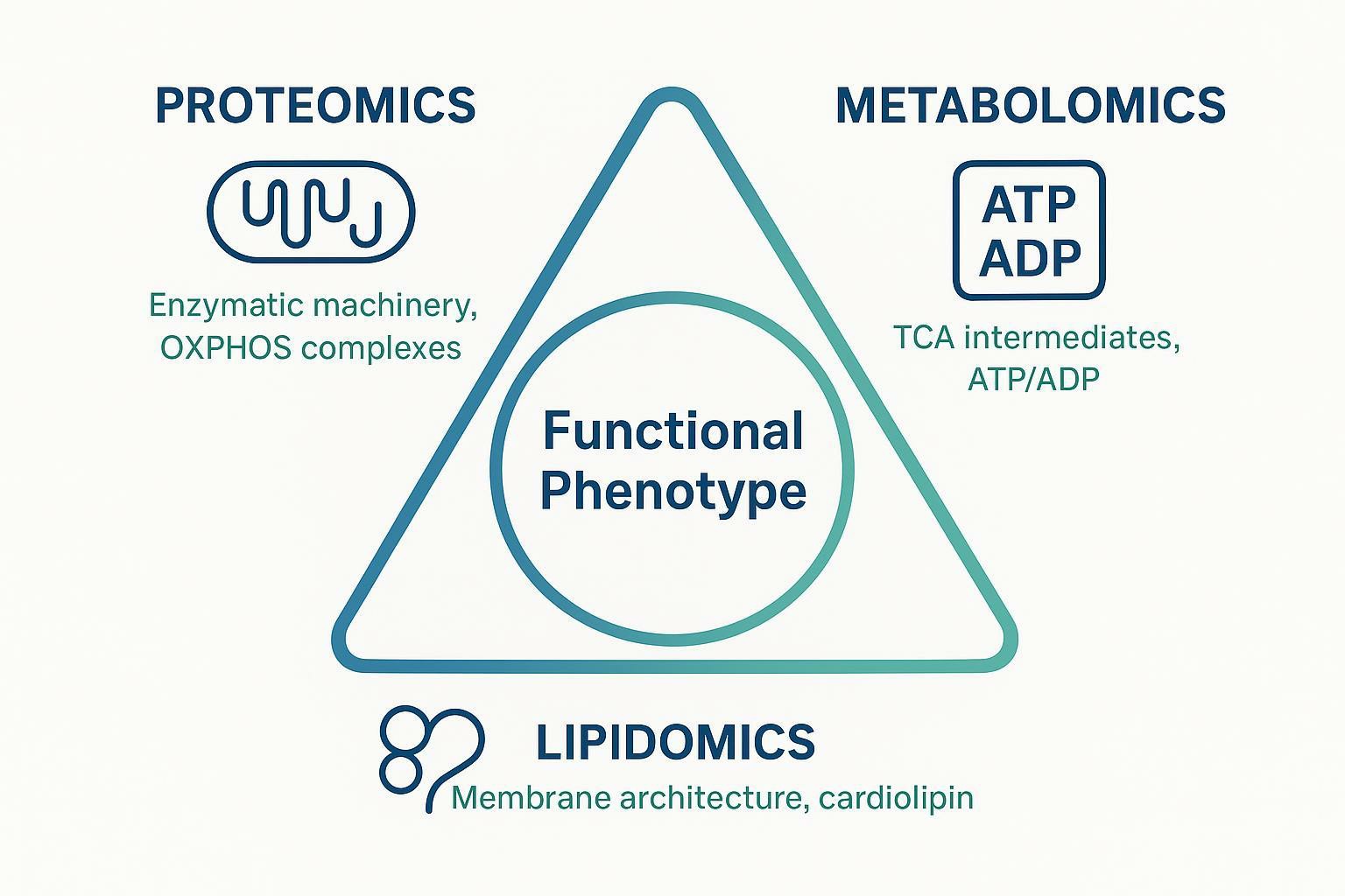 Mitochondrial Multi-Omics Experimental Design: Choosing and Integrating Proteomics, Metabolomics and Lipidomics for Functional Studies