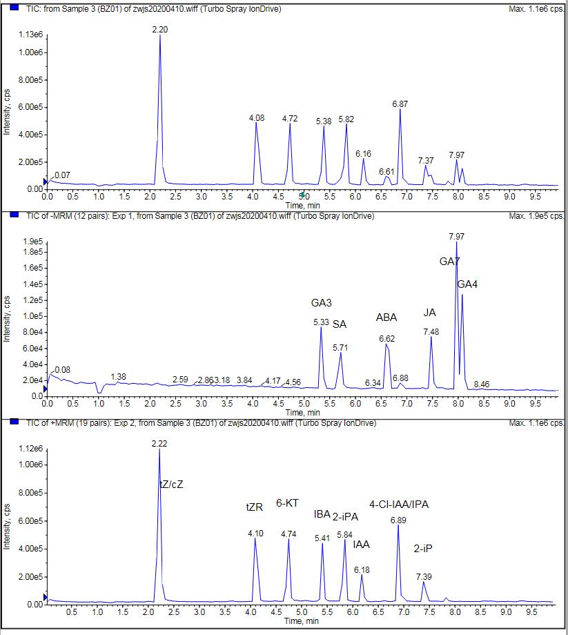 Total Ion Chromatogram (TIC) Plot